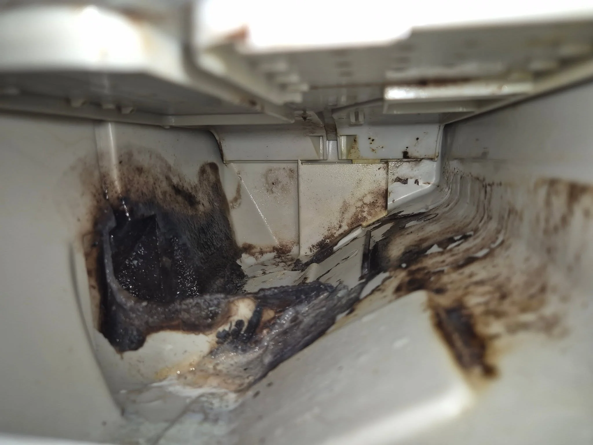 Detergent dispenser housing cavity with heavy black and brown biofilm across the white plastic behind the drawer