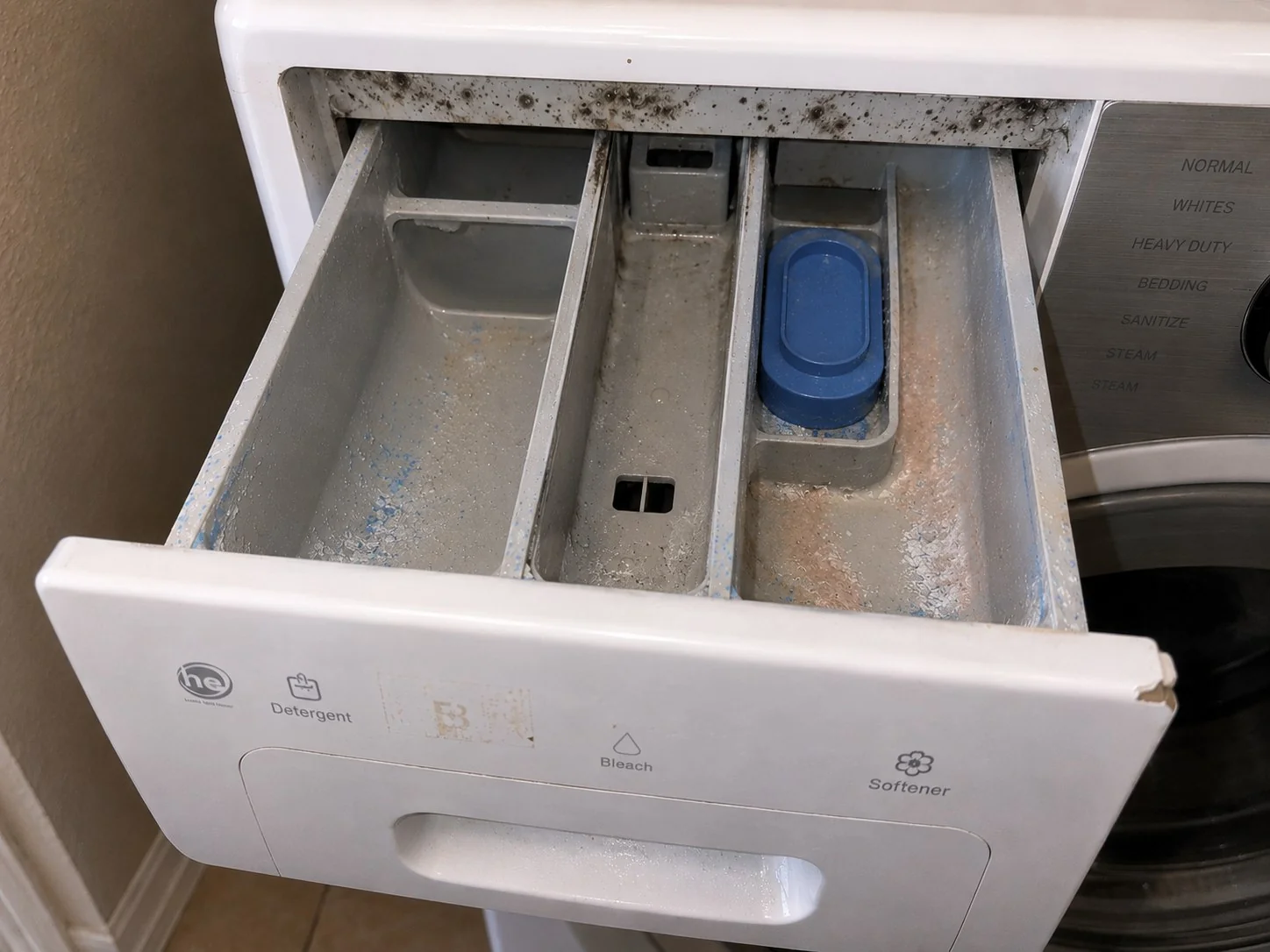 Detergent dispenser drawer pulled out, black mold along the upper edge of the opening and residue in the compartments