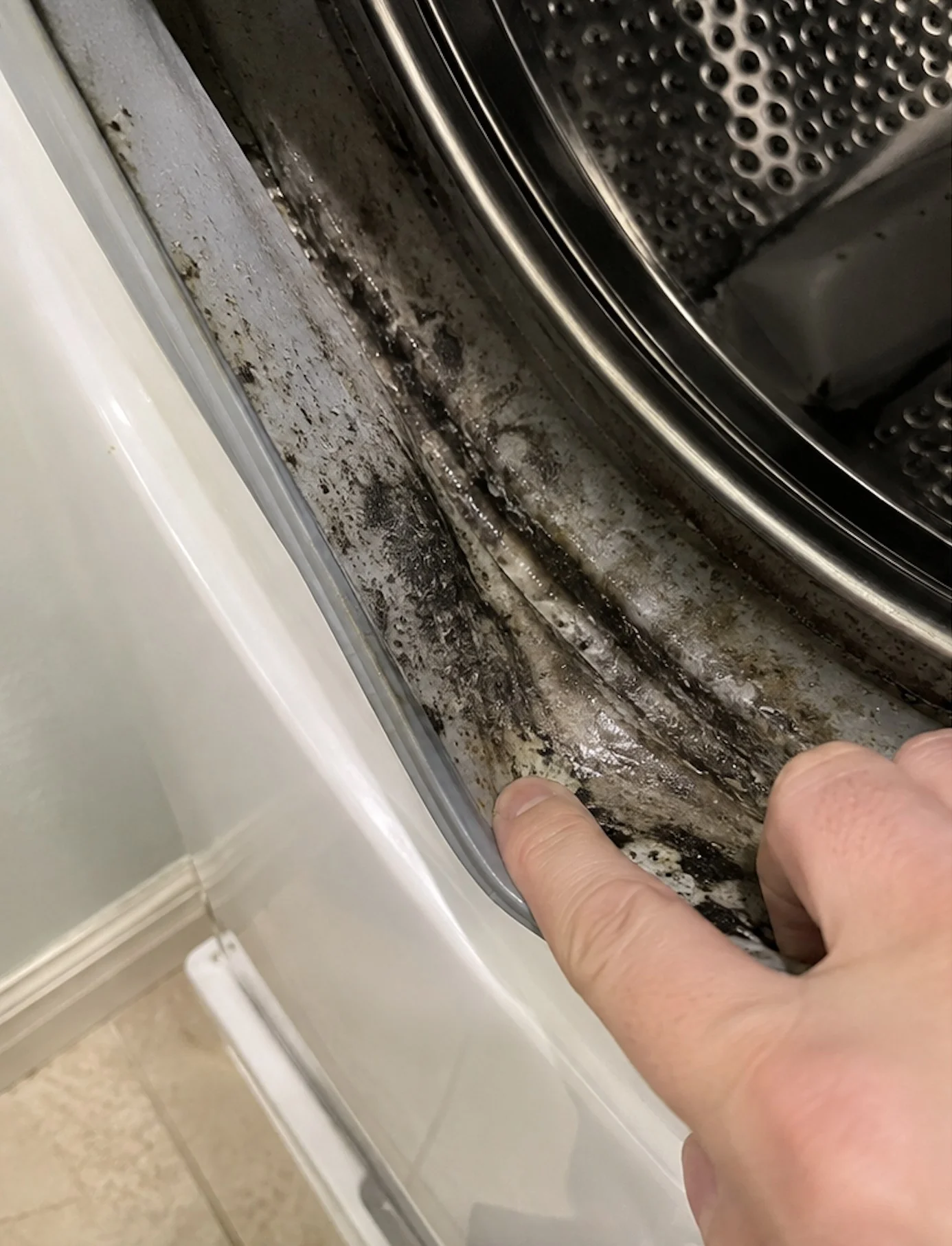 Door gasket fold held open by hand, dense black mold streaked through the inside of the fold