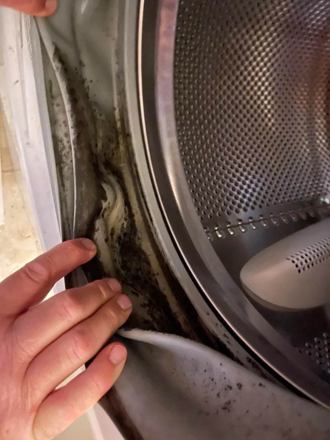Door gasket fold held open by hand, heavy black mold and residue banded along the inside of the fold