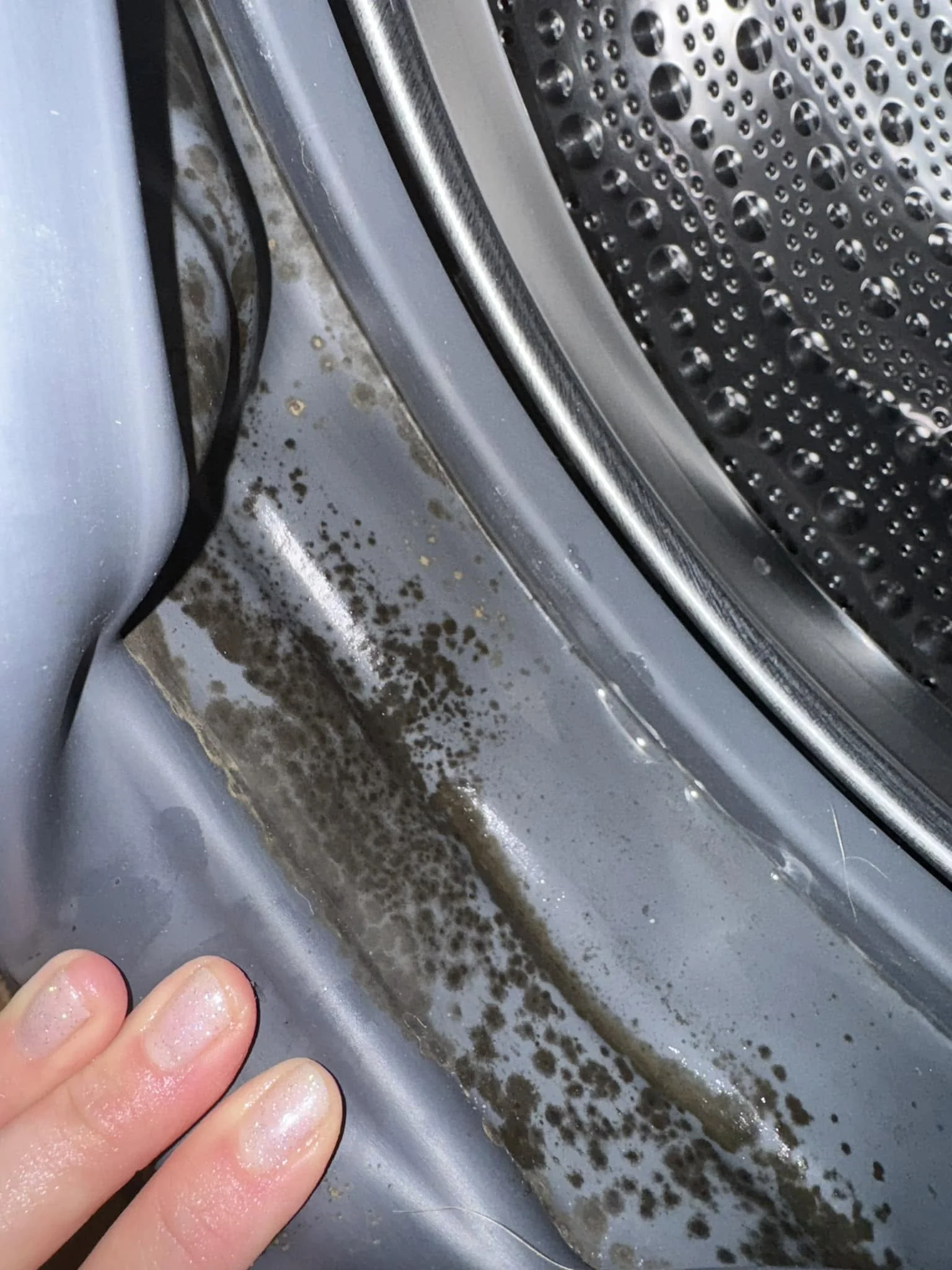 Wet front-load door gasket with dense dark mold spotting across the grey rubber, stainless drum behind
